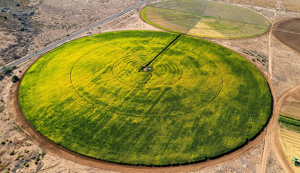 Farmington Research Center field